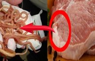 This-Shocking-Video-Explains-Why-GOD-Commanded-Not-to-Eat-Pork